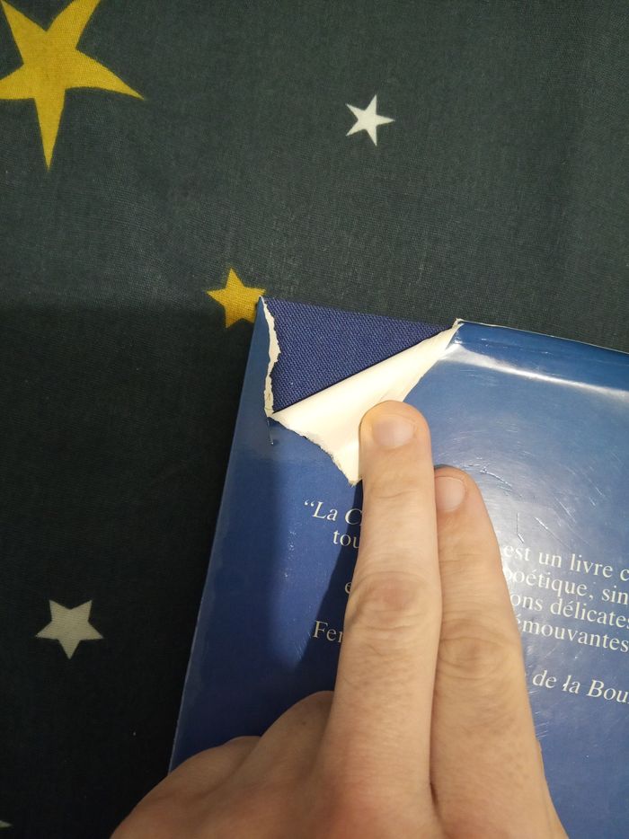 Livre (126) 📚 La charette bleue - photo numéro 3