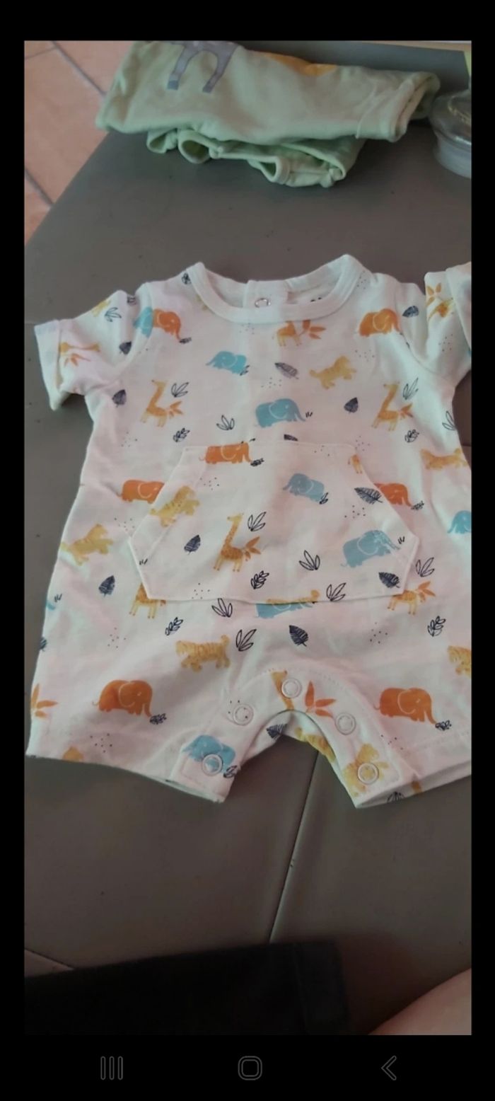 Bodie ete 1 mois - photo numéro 2