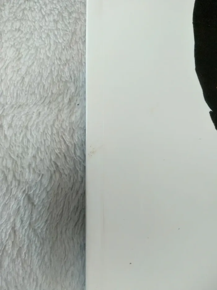 Taxi et le bunyip - photo numéro 3