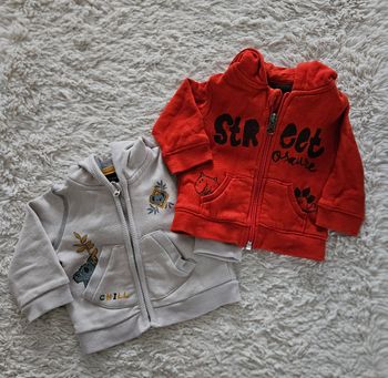 2 sweats à capuches