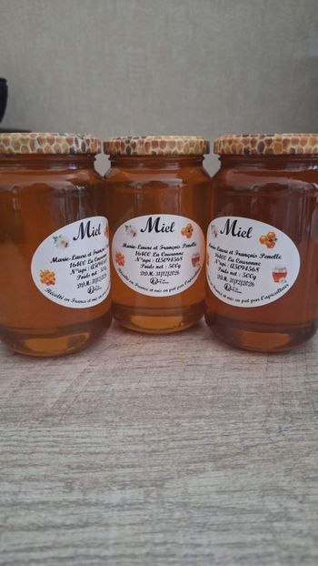 Miel d'apiculteur