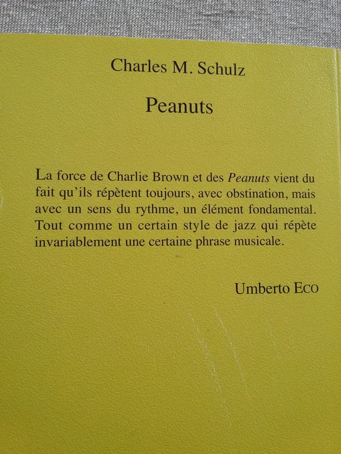 livre peanuts - photo numéro 2