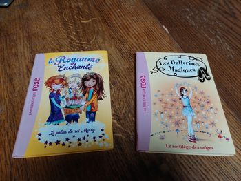 📖Lot de deux livres la bibliothèque rose 📖