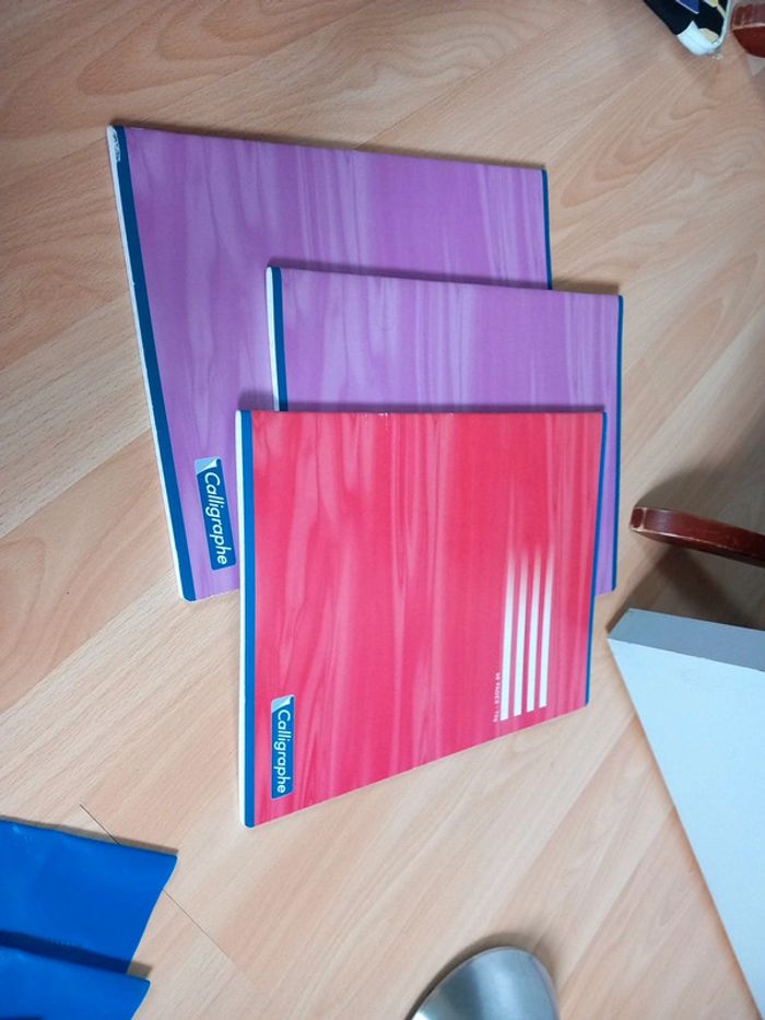 3 cahiers 96 pages et protège cahier - photo numéro 7