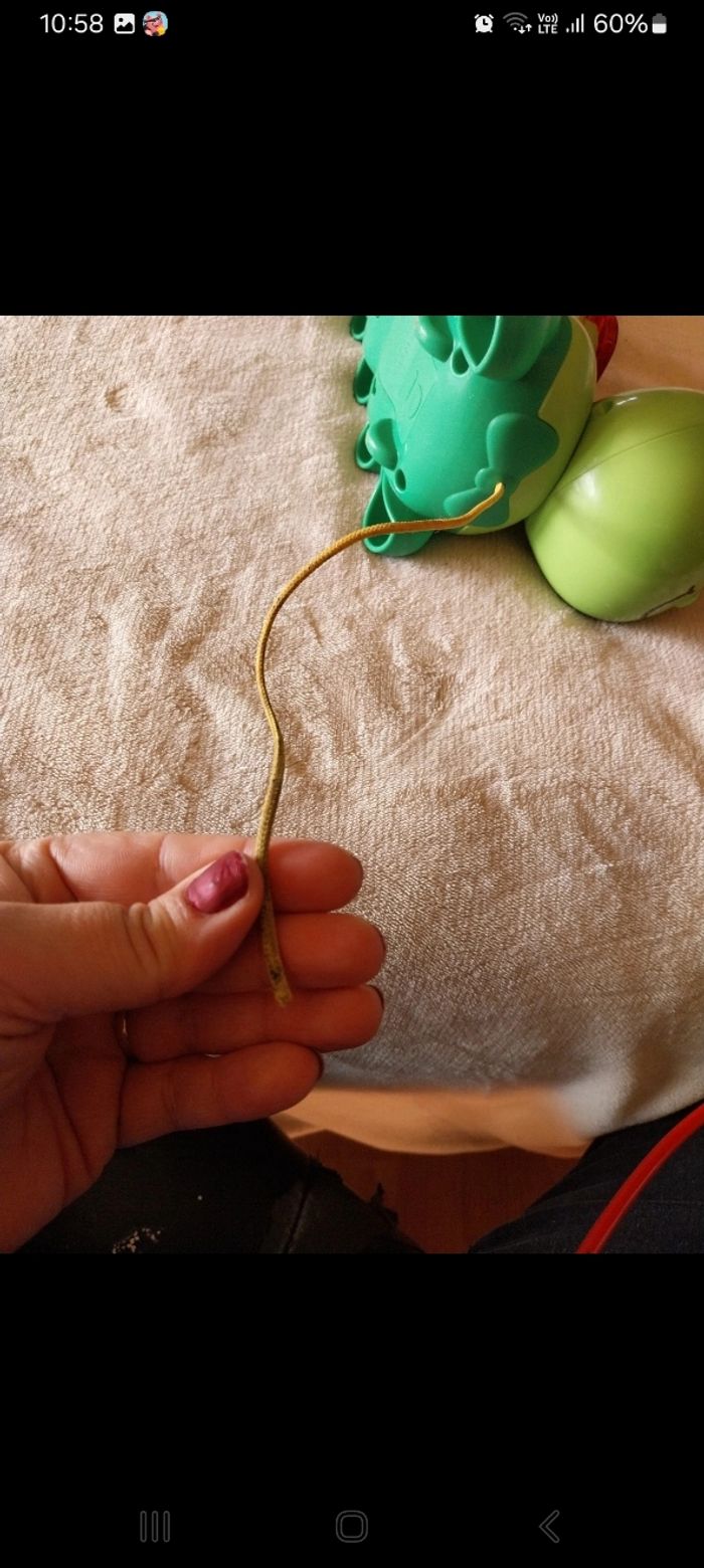 Mon xylophone Jungle Rock - photo numéro 7