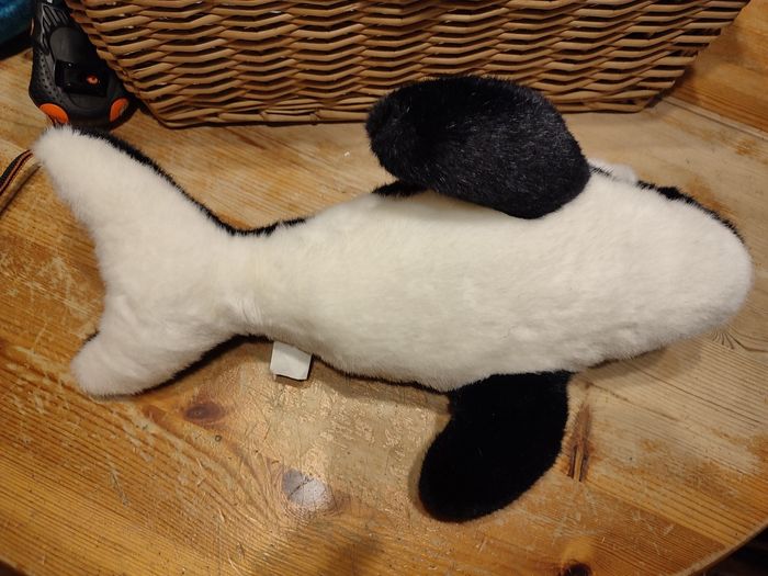 Orque - photo numéro 4