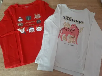 Lot de 2 tee shirt manches longues