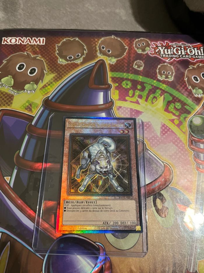 Ryko le chasseur , seigneur lumière