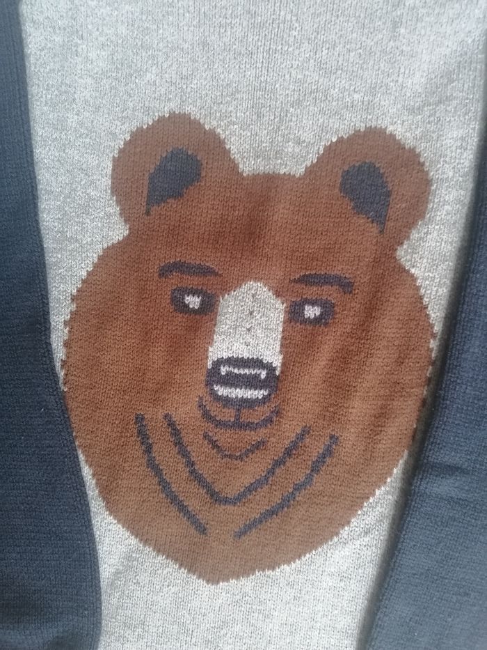 Pull 🐻 garçon 12 ans - photo numéro 3