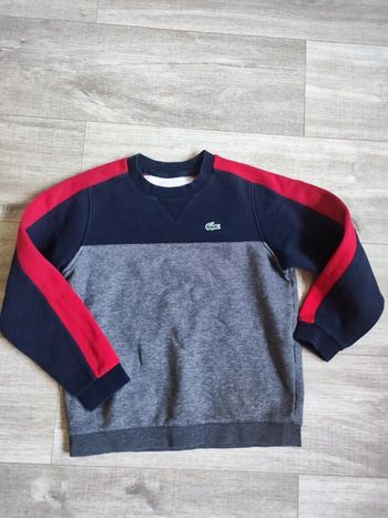 Pull lacoste 8 ans