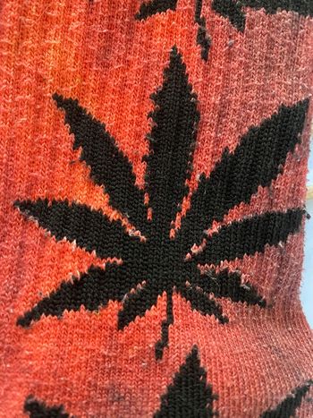Chaussettes hautes
