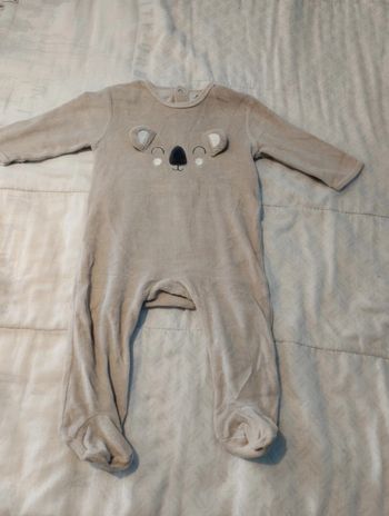 Grenouillère koala