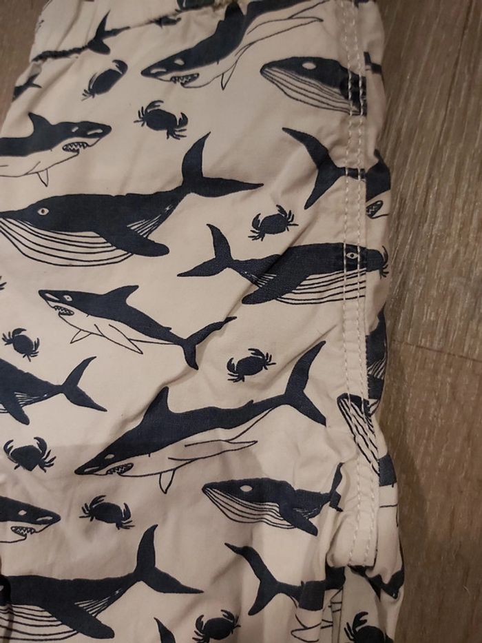 Short - photo numéro 4