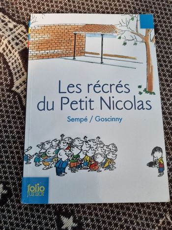 Roman pour enfant Les récrés du Petit Nicolas