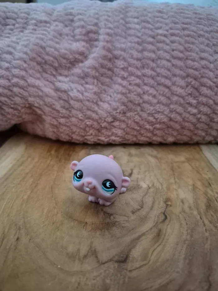 Pet shop