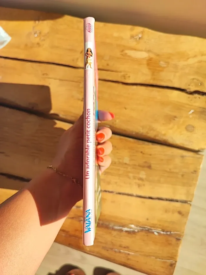 Livre Vaiana - photo numéro 3