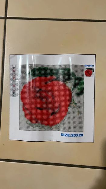 Toile Diamond Painting 20x20cm n°01