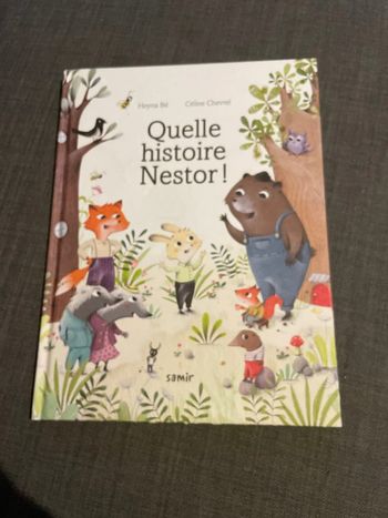 Album jeunesse Quelle histoire Nestor!