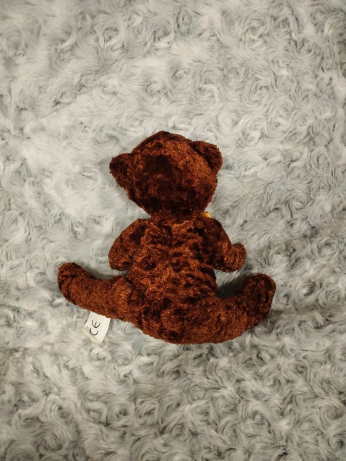 Petit nounours - photo numéro 2