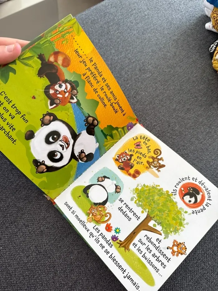 Livre panda - photo numéro 3