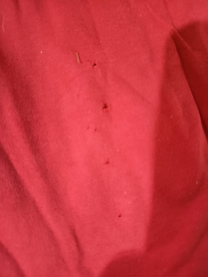 Lot de t-shirt - photo numéro 8