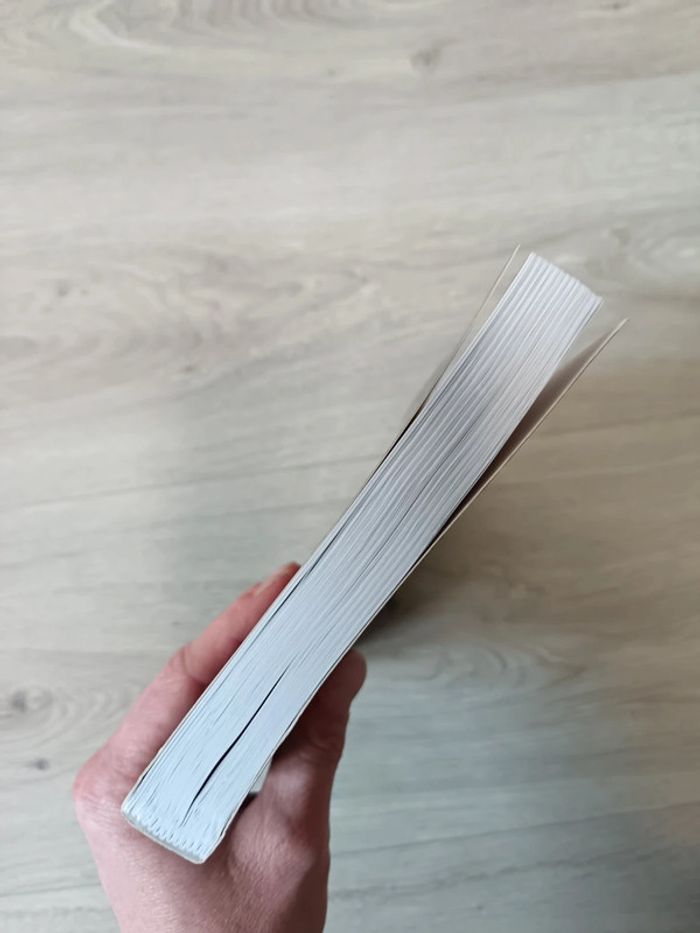 Au pays du hêtre Des hommes, une histoire - D'Illizfaou à Illifaut Vincent Le Maire - photo numéro 4