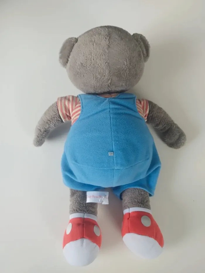 Petit ours brun - photo numéro 3