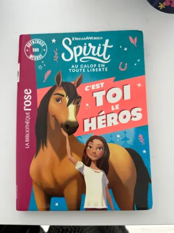 Livre Spirit