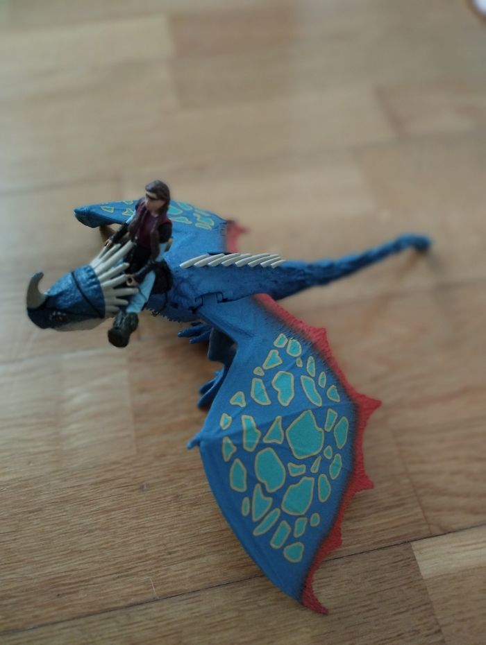 Tempête et Astrid dragons - photo numéro 2