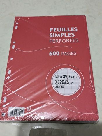 Paquet de 600 feuilles simples perforées grands carreaux, 21 x 29,7 cm