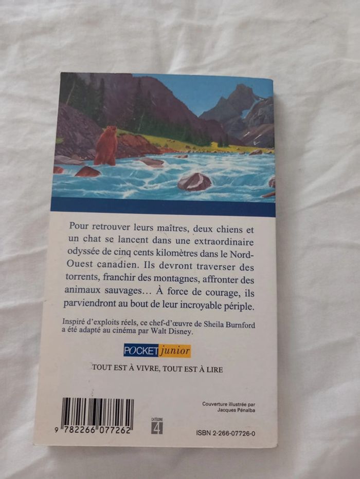 L'incroyable voyage - photo numéro 2