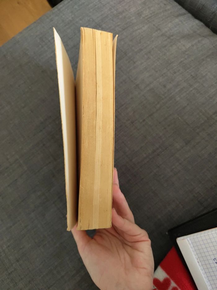 Les oiseaux se cachent pour mourir - photo numéro 4