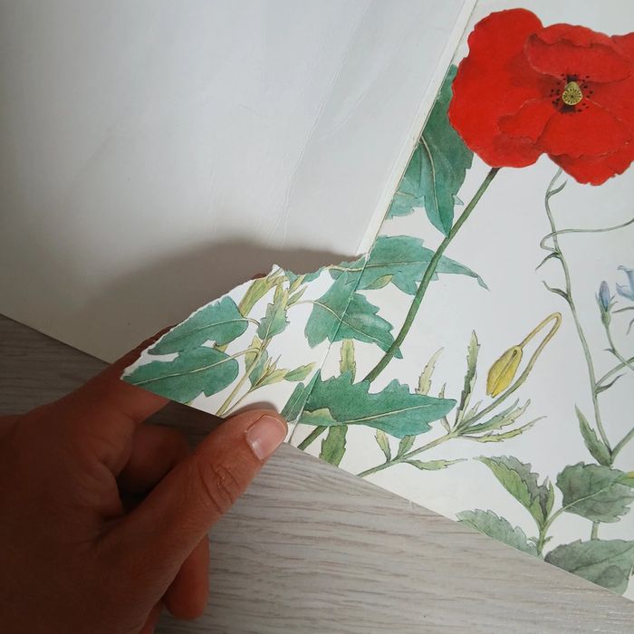 Livre Les bonnes mauvaises herbes - photo numéro 5