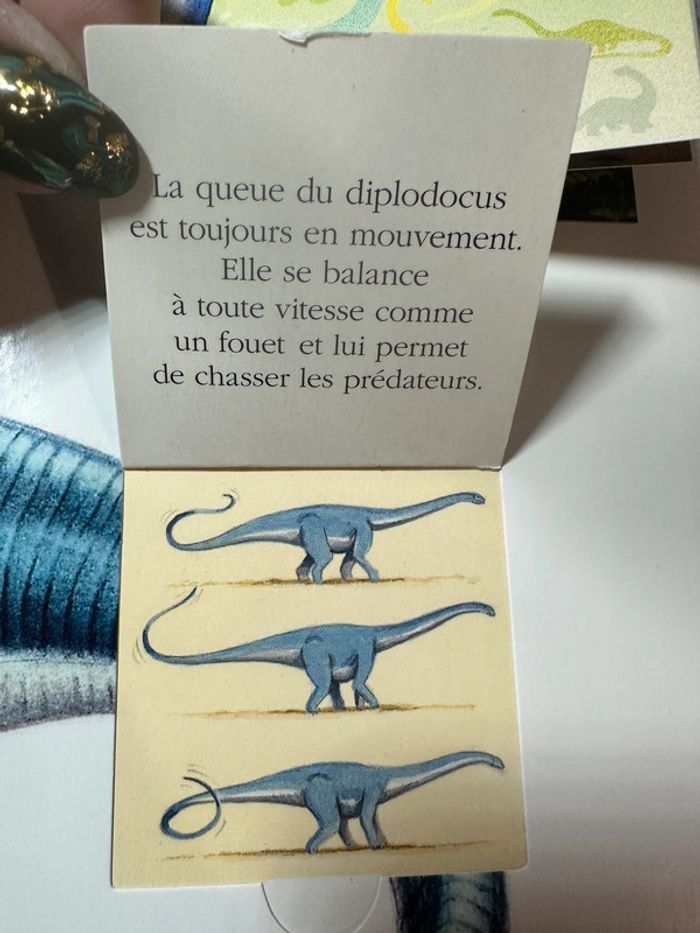 📚 Explore! Les dinosaures – mes premières découvertes (Gallimard Jeunesse) - photo numéro 4