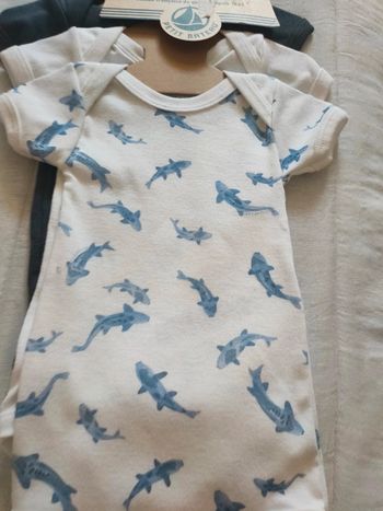 Lot de 3 body manches courtes petit bateau bio 3 mois