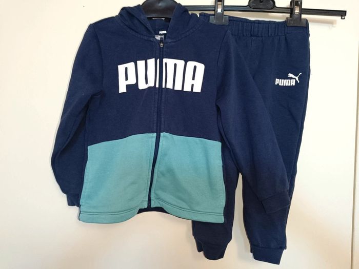 Ensemble puma