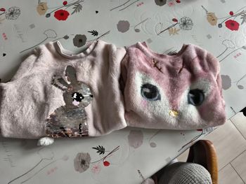 Pull polaire
