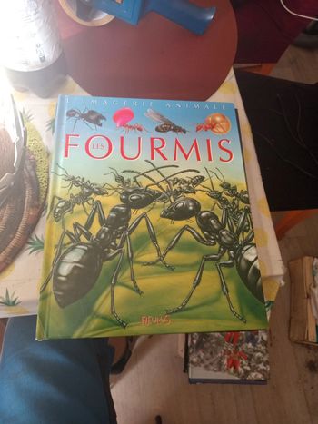 Bd la grande imagerie les fourmis