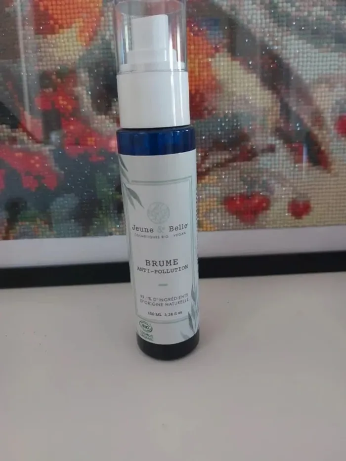 Brume antipollution - photo numéro 2