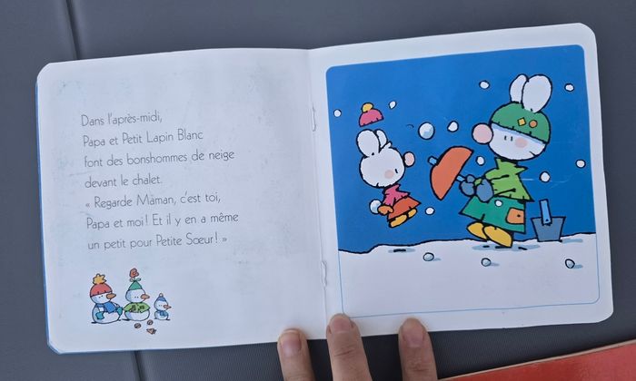 Lot de 4 livres Petit lapin Blanc - photo numéro 5