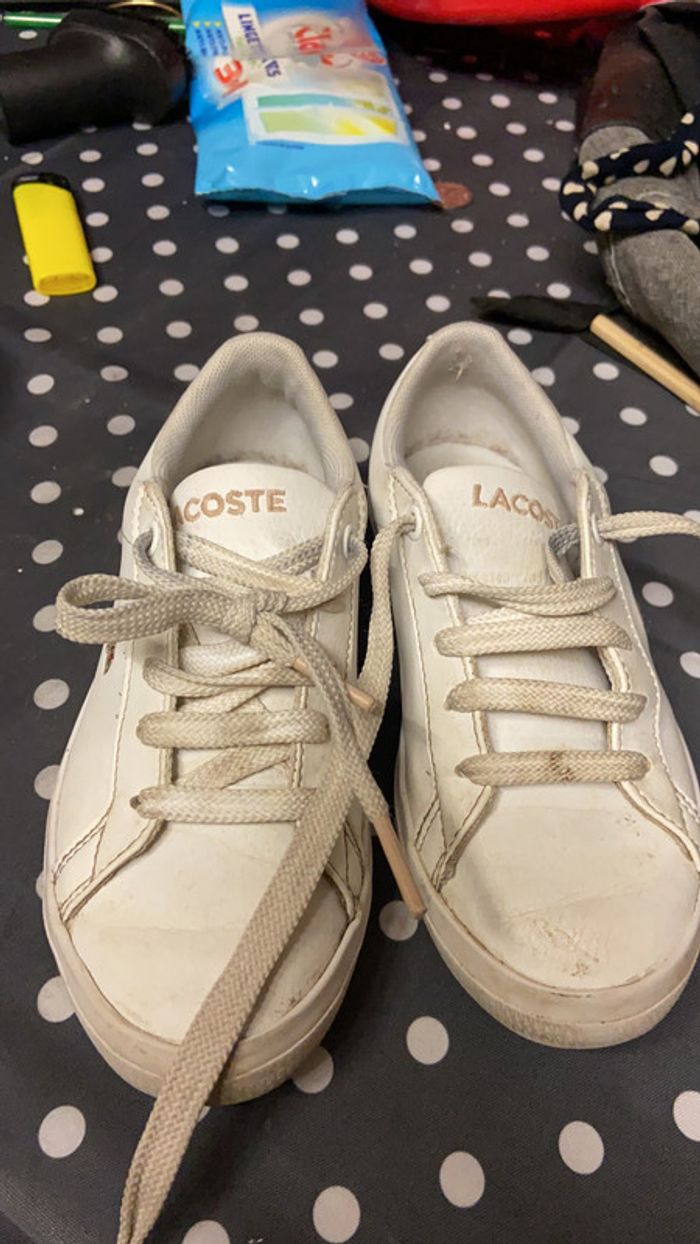 Chaussure Lacoste - photo numéro 2