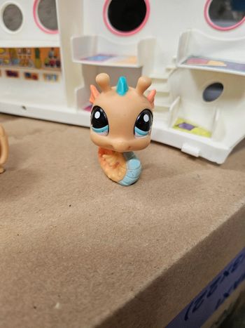 Petshop rare hippocampe 1958