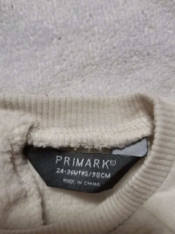 Pull primark fille 2 - 3 ans - photo numéro 2