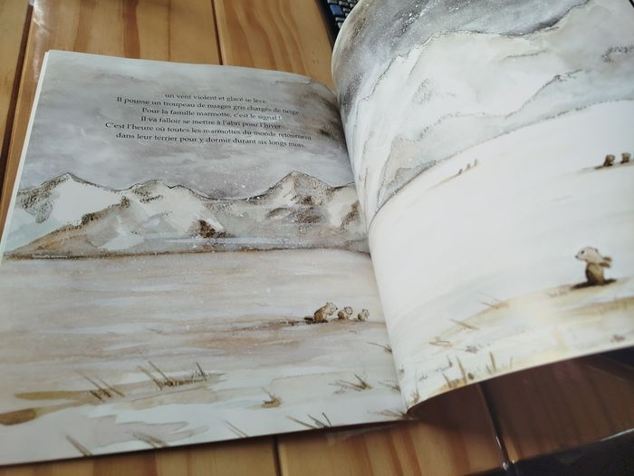 Petite marmotte à la bougeotte - photo numéro 4