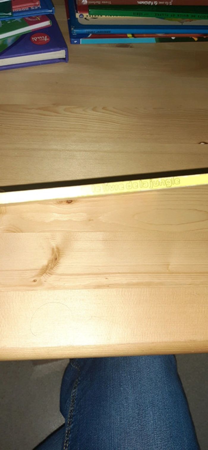 Le livre de la jungle - photo numéro 2