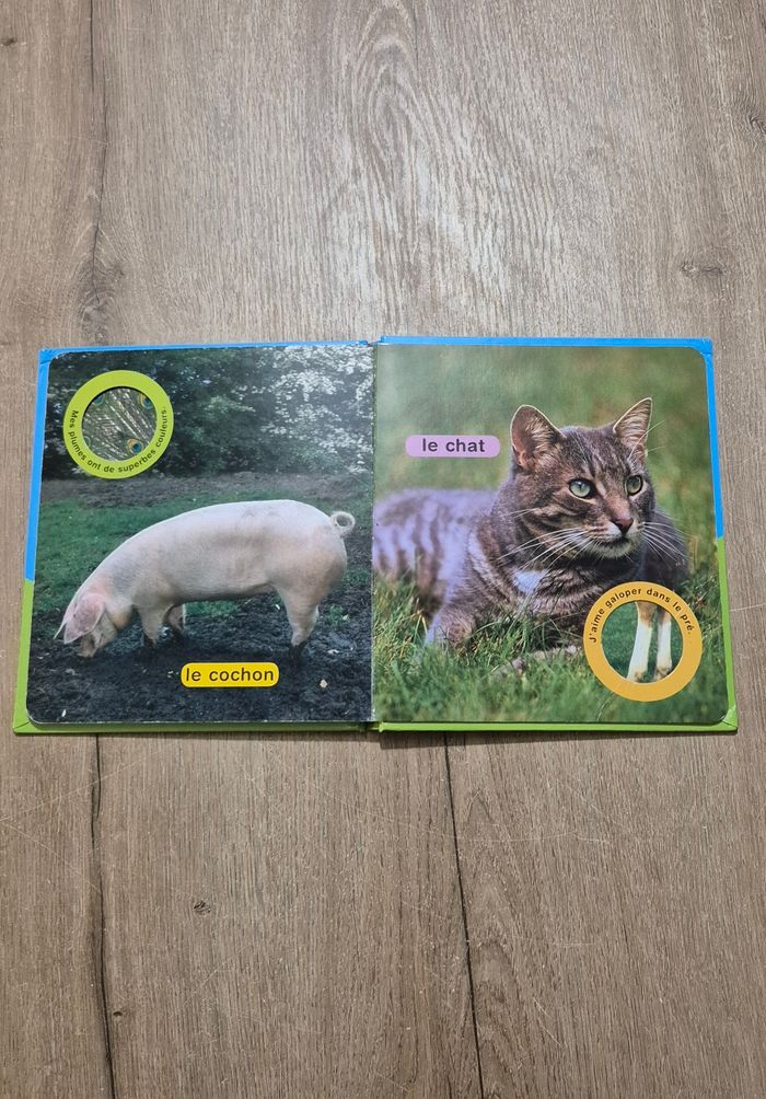 Livre Coucou la poule - photo numéro 7
