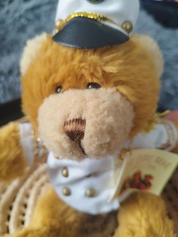 Peluche Teddy Bear Collection