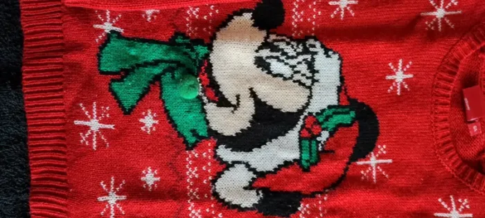Pull Minnie - photo numéro 5