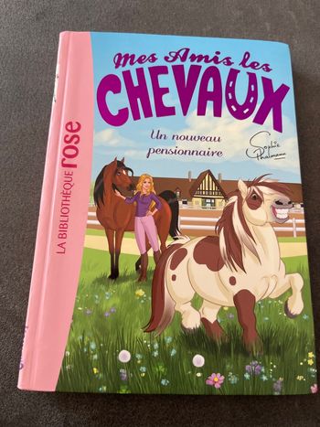 Livre bibliothèque rose mes amis les chevaux tome 1
