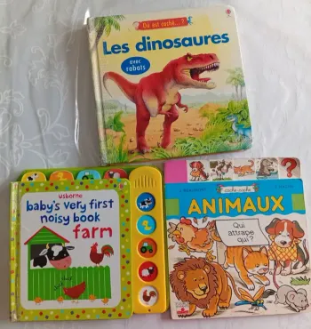 Lot 3 livres enfant